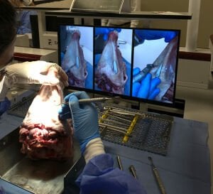 İMPLANTOLOJİ TEMEL CERRAHİ KURSU / 8-9 MAYIS 2026