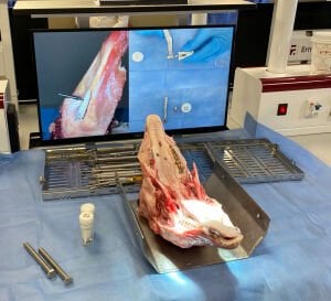 İMPLANTOLOJİ TEMEL CERRAHİ KURSU / 8-9 MAYIS 2026