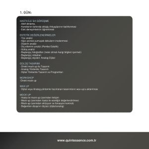 Porselen Lamina Venerler - Dijital ve Analog İş Akışı