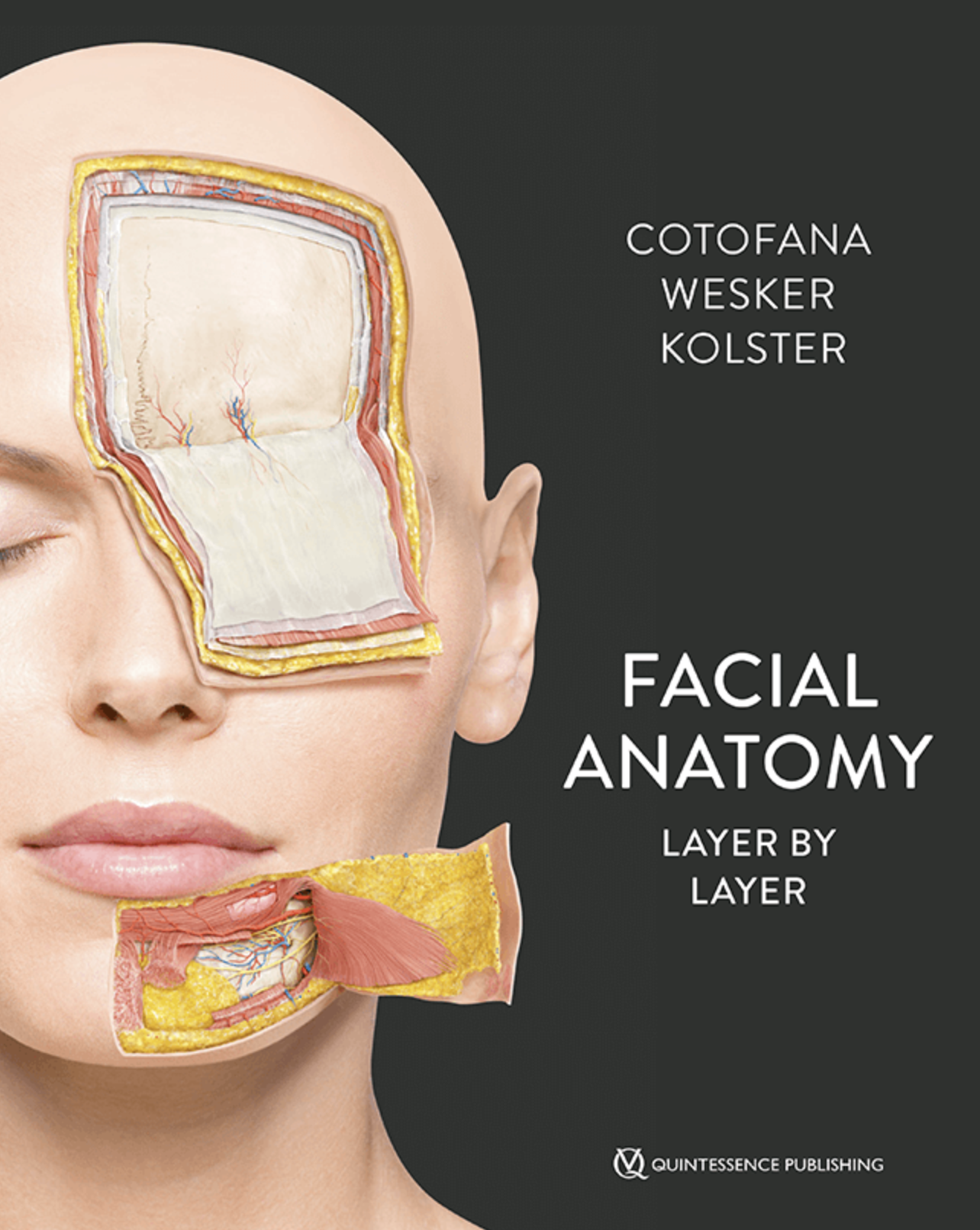 Facial Anatomy Layer by Layer